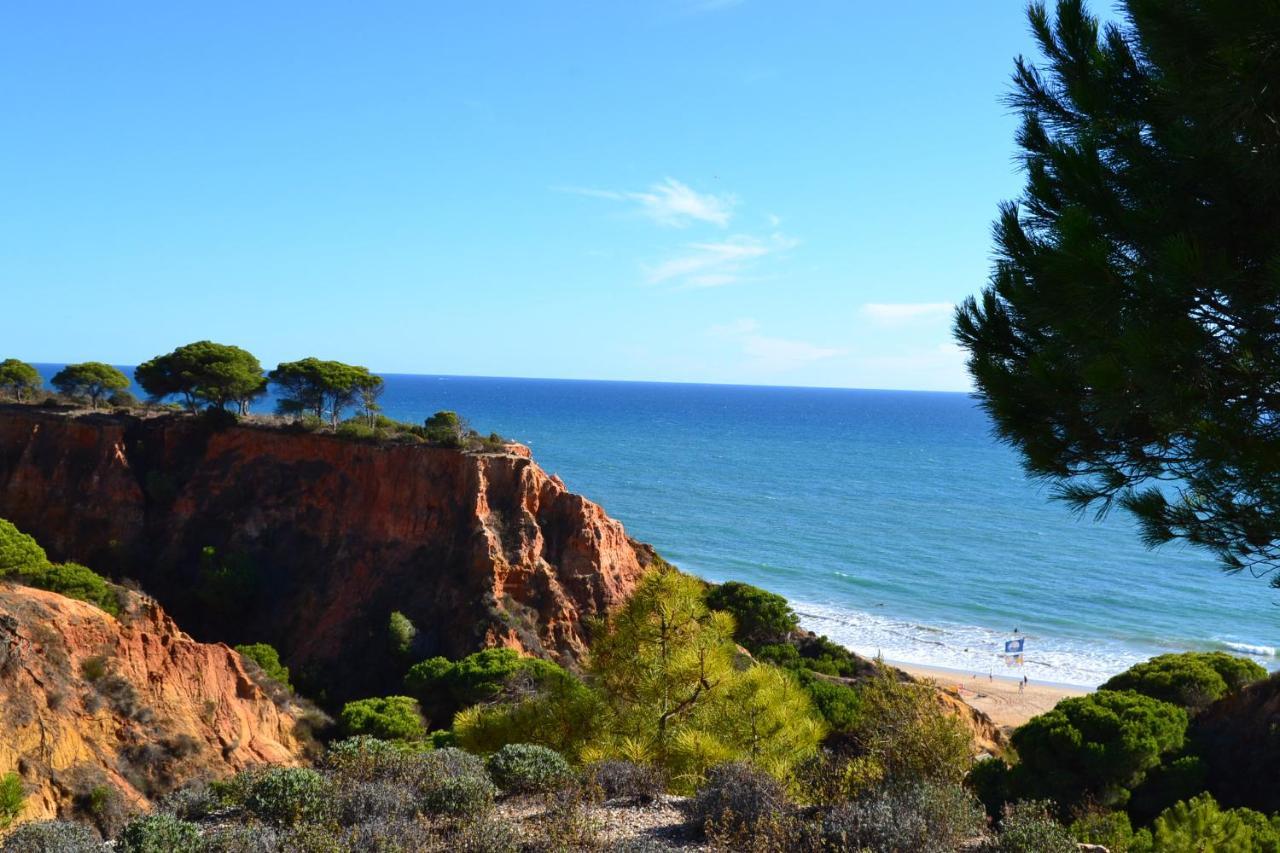 T0 Junto A Praia De Vale Centeanes / Carvoeiro Lagoa  Εξωτερικό φωτογραφία